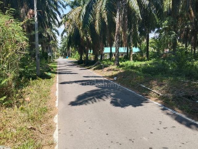 Pengerang Telok Ramunia Tanah Pertanian 1