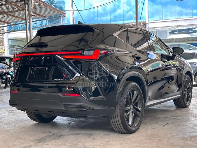 2024 Lexus NX250 2.5 VERSION L (A) - 5