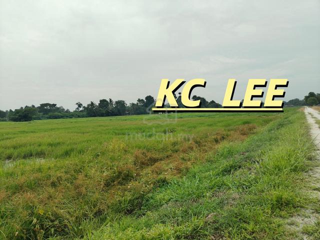 1.15 Acres Paddy Field For Sale @ Tasek Gelugor, Penang 1