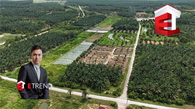 Gopeng Ipoh FREEHOLD Corner Lot Nice Agriculture Land Near Main Road 1