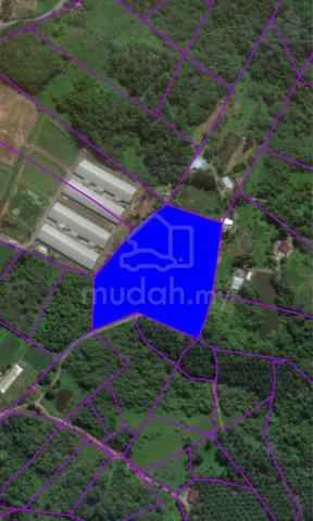 29 Mile Agricultural Land For Sale 1
