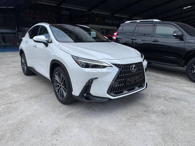 2023 Lexus NX 250 2.5 LUXURY (A) - 1