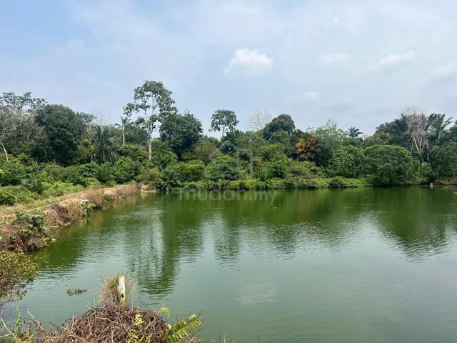 1.55 Acre Agri Land Rantau Seremban, Freehold, Non Bumi, Fish Pond 1