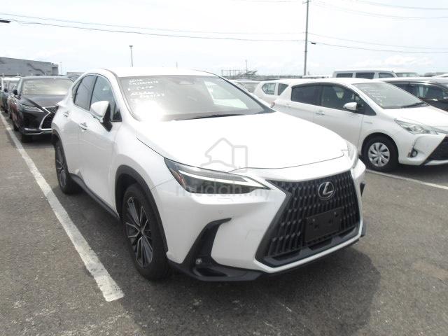 2022 Lexus NX 250 2.5 LUXURY (A) - 1