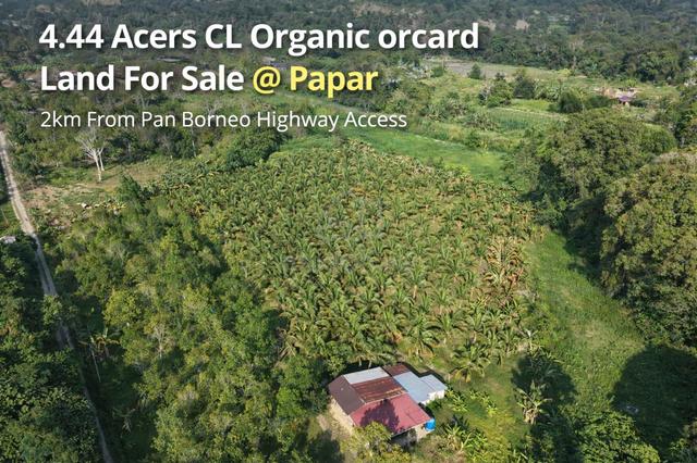 CL 4.44 Acers Fruit Farm Land For Sale 1
