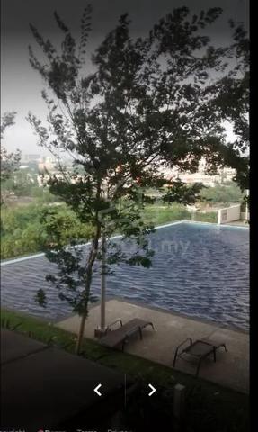 Koi Kinrara 2