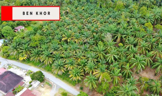 Good Prices | 7.6 acres | Agricultural Land | Nibong Tebal | PENANG 1
