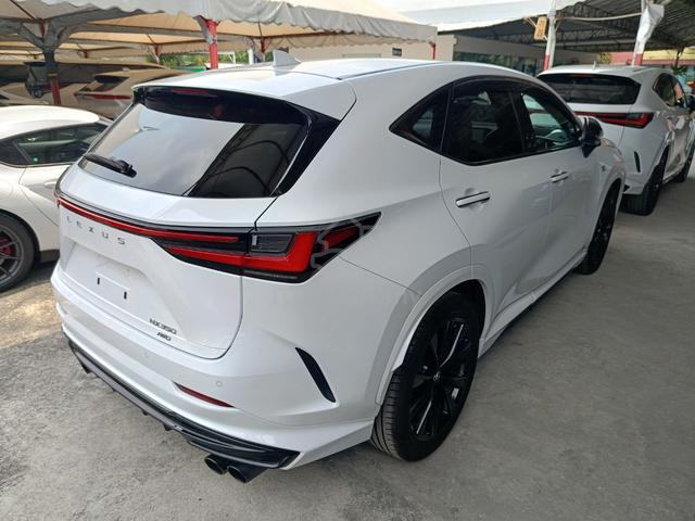 2023 Lexus NX350 2.4 F SPORT AWD (A) Mark Lenvinso - 4