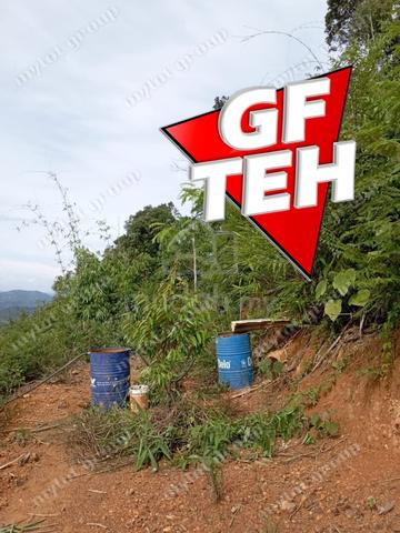 4.74 Acres Agricultural Land Mountain Pengkalan Hulu Perak Rm2.57psf k 4