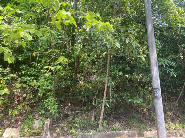[POKOK GETAH ADA HASIL] Tanah Pertanian di KUBANG KESOM, SIK 2