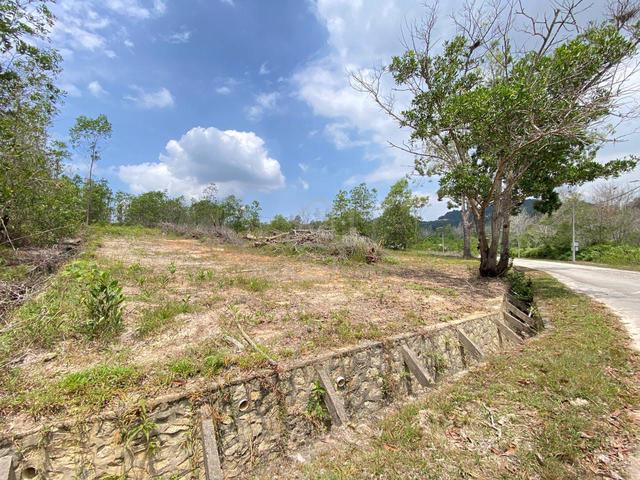 Flat Land + Lot Banglo = 10,077 sqt di Ambang Suria, Puncak Alam 1