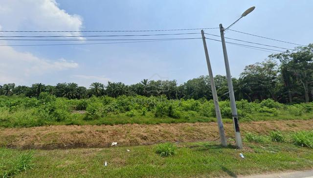 Land For Sale At Valdor , Sungai Jawi 3