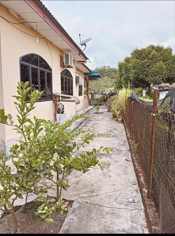 1 bungalow and 1 terrace house 1