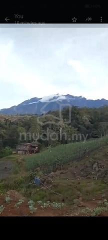 NT Land in Mesilou, Kundasang (2 acres) ❗️for Sale ❗️ 1