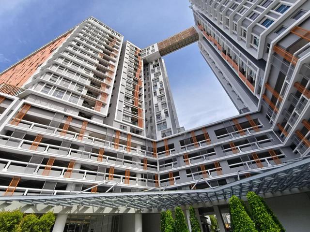 Suria Jelutong 1
