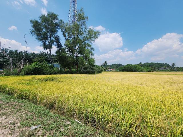 FIRST GRADE 🔥 Tanah Bendang Kubang Semang Seberang Prai Tengah 1