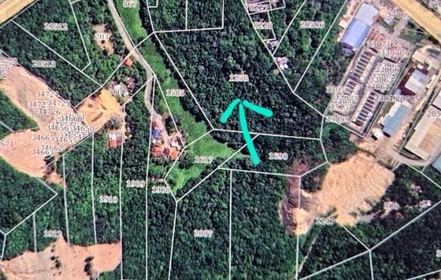 Mentakab 5.6 acres land for sales 1