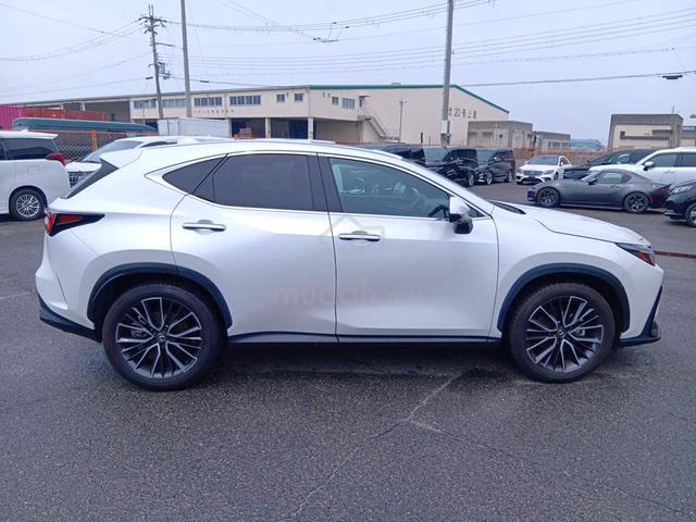 2023 BOOK NOW SRoof 4CAM BSM Lexus NX 250 2.5 - 4