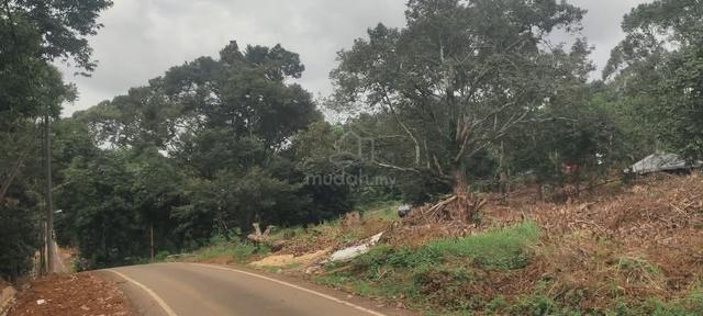 Kluang - INTERNATIONAL LOT / Tanah Lot Dusun Jalan Harun Kg Seri Cahay 1