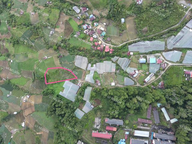 kundasang 0.8acre for sale 200k 5