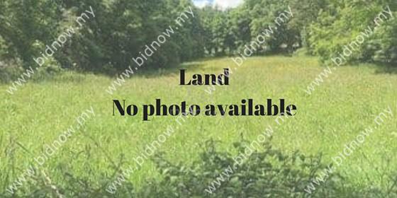 Land Agriculture - Taman Sentosa Klang 1