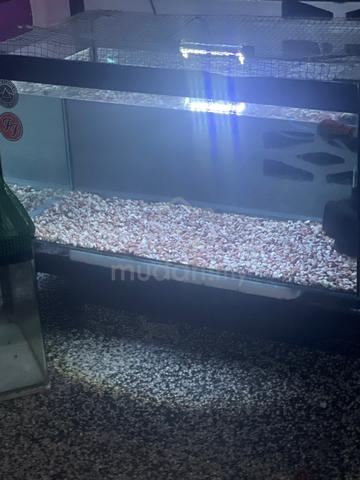 aquarium 2.5 kaki dan 1.5 kaki - photo 2 of 4