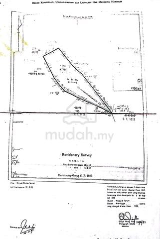 Ladang kelapa Sawit Bukit Apit 1