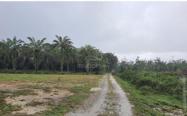 2 lot banglo 679mp di Kg. Kudat Kuala Berang. 1