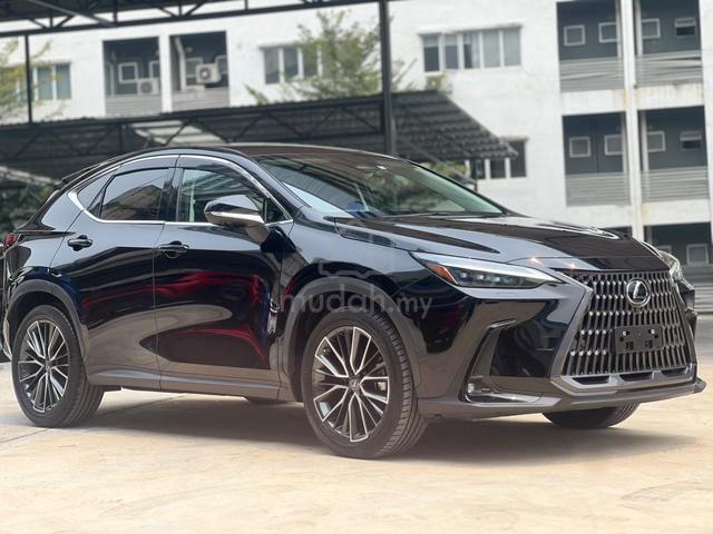 2022 Lexus NX250 2.5 LUXURY (A) - 1