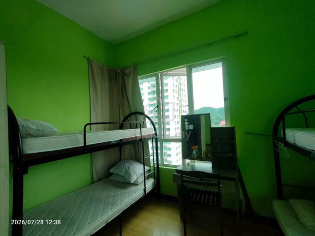 1Borneo 1