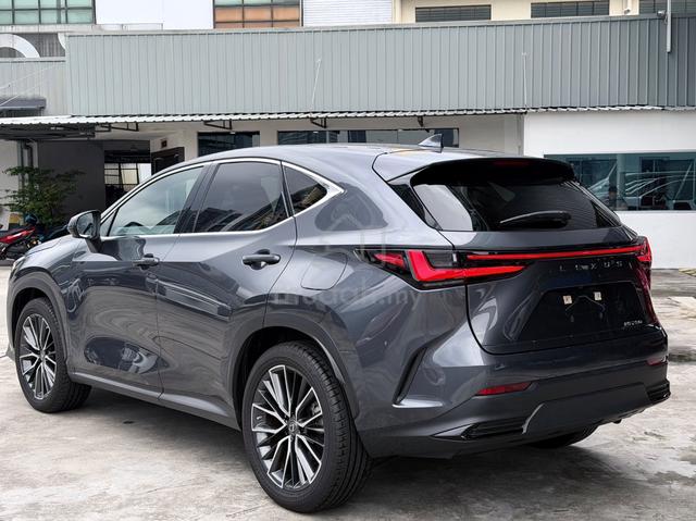 2022 Lexus NX250 2.5 Version L MIL 15K Brown Int - 2