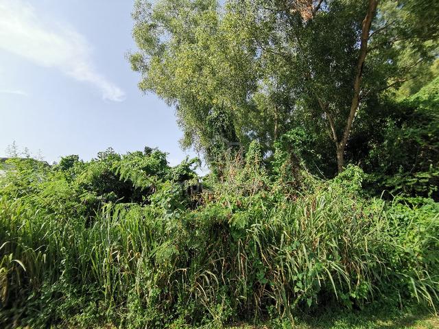 SQUARE SHAPE Residential Bungalow Land PRIME AREA Legenda Heights 1