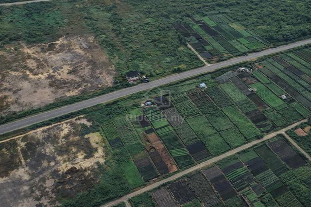 Land For Industry in Johan Setia Jenjarom Telok Panglima Garang 1