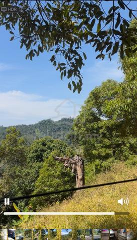tanah kebun balik pulau 1