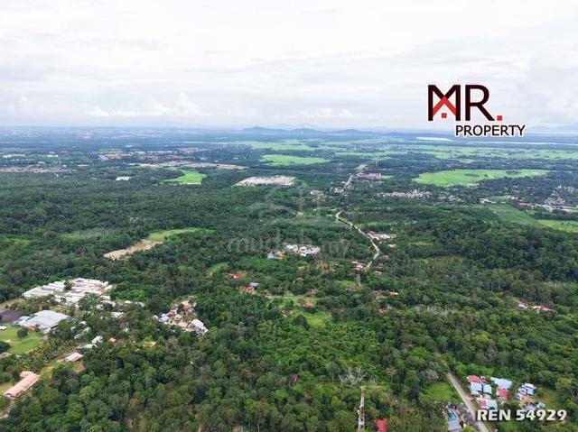 PRIME AREA Durian Farm Merbok FOR SALE 1
