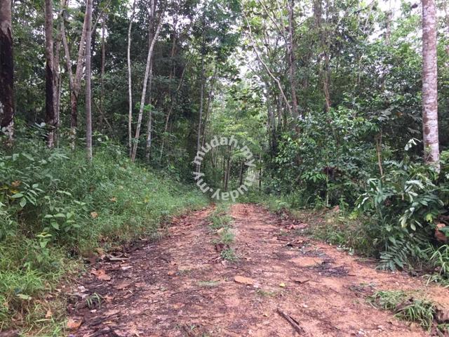 Freehold Agriculture Land For Sale At Johol,Dangi,Kuala Pilah,N.S. 1
