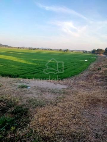 Tanah bendang untuk dijual 1