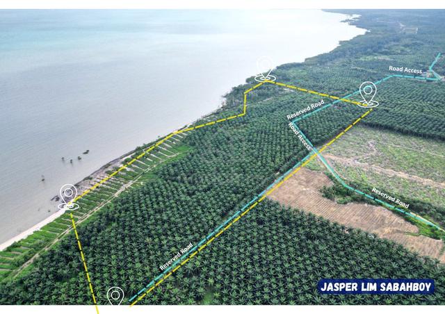 Waterfront Palm Oil Land | Large Parcel For Sale 🌴 1