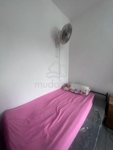 Fully Furnished Selangor Kelana Jaya Room For Rent 1