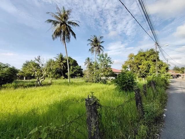 Tanah bertambunRapat Jalan Raya Perlis 1