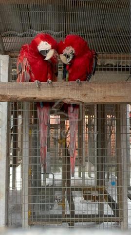 Carousel Image Selected