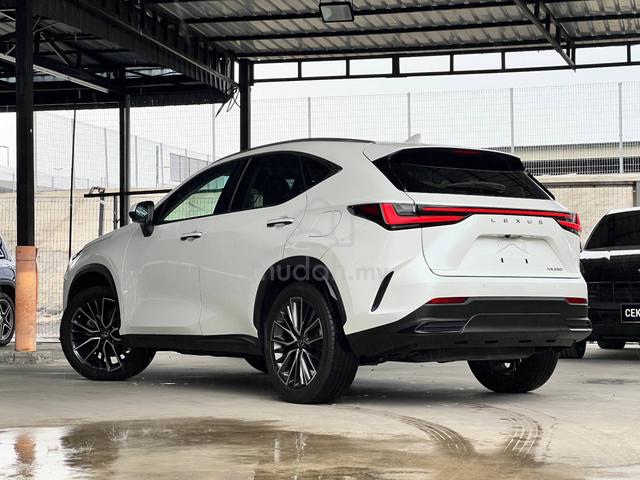 2023 Lexus NX250 2.5 LUXURY MY22 (A) - 2