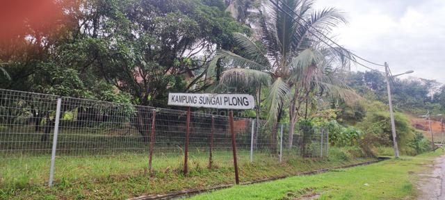Sg Plong Sg Buluh Tanah Lot 1.97 Ekar /Freehold Malay Reservation 1