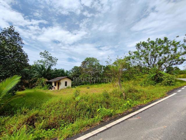 TANAH DUSUN : KG DESA HARAPAN BUKIT BATU KULAI / SEDENAK - 0.6 ekar 5