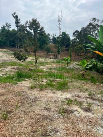 Tanah Pertanian Untuk Dijual 1