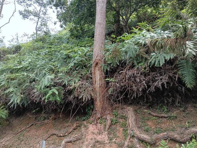 Genting Sempah, Bentong, Lentang, Karak 1