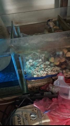 6 feet Aquarium with sumptank - photo 4 of 4