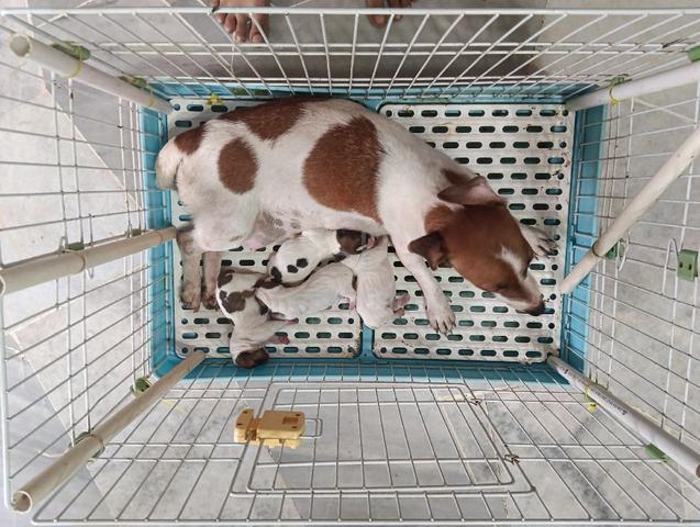 Carousel Image