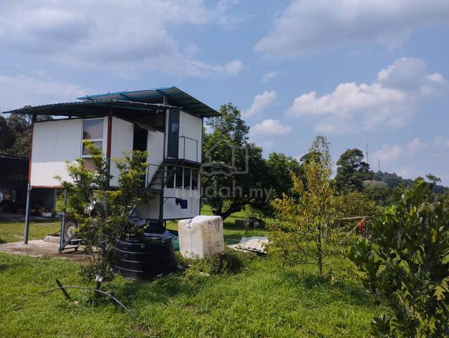 Pahang Karak 18.3 Acre Beautiful Durian Orchard Farm For SALE 1