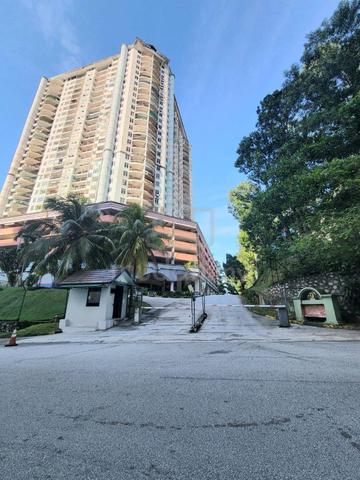 Venice Hill 1